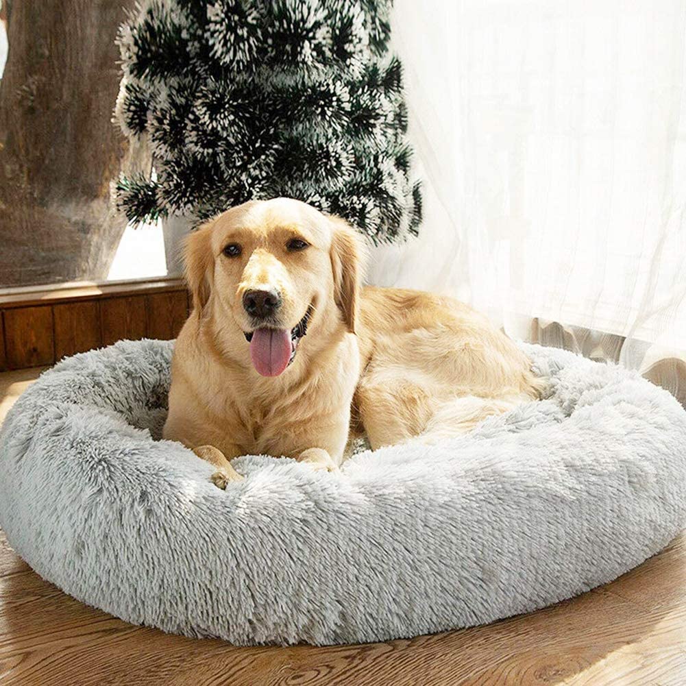 Cama SAVFOX para perros con pelo sintético suave que apoya cabeza y cuello.