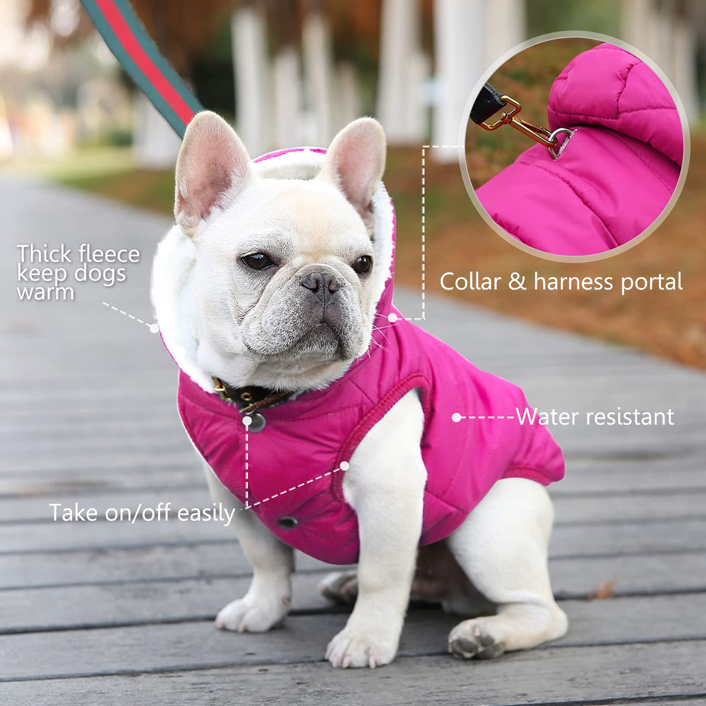 SAWMONG capa perro rosa bordes elásticos, ajuste cómodo y seguro