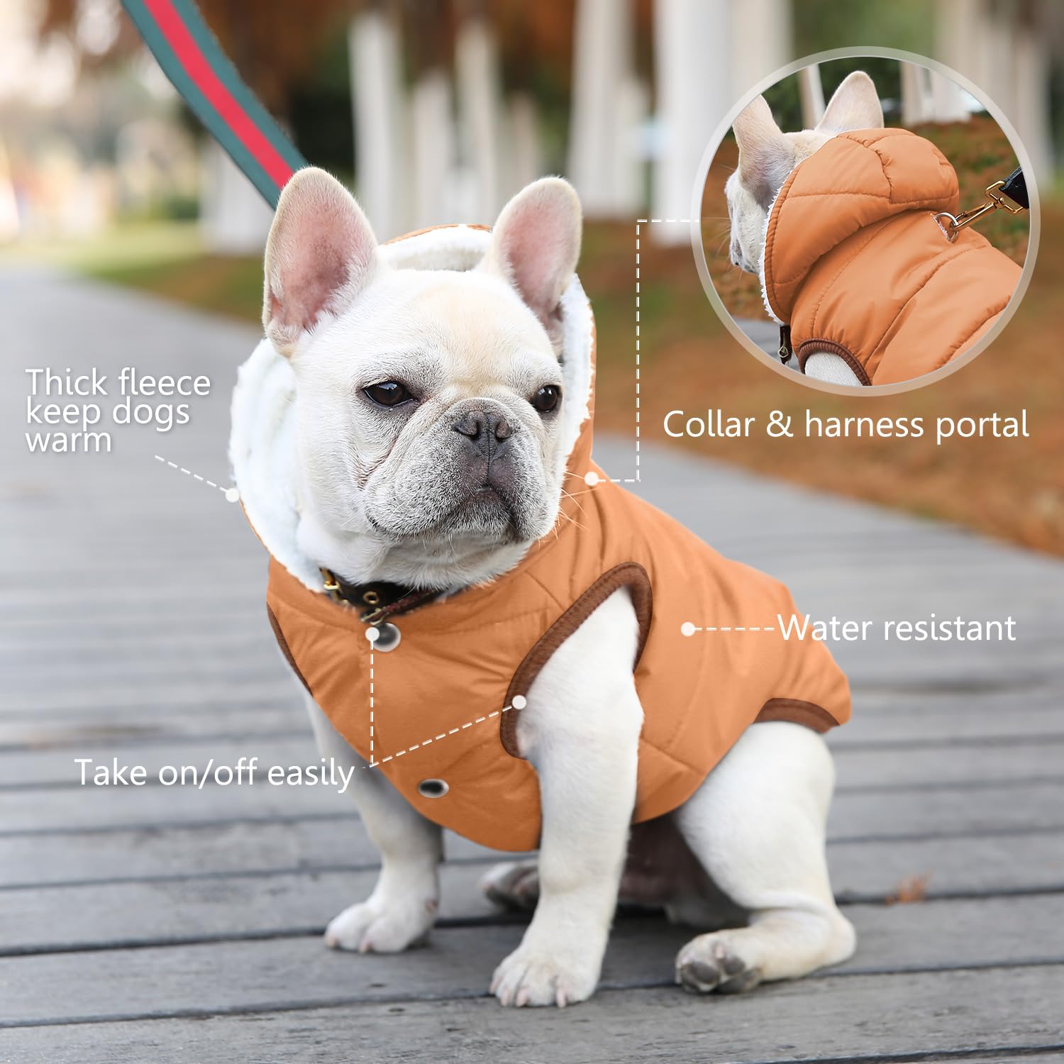 SAWMONG chaqueta disponible en 6 tallas para diversas razas.