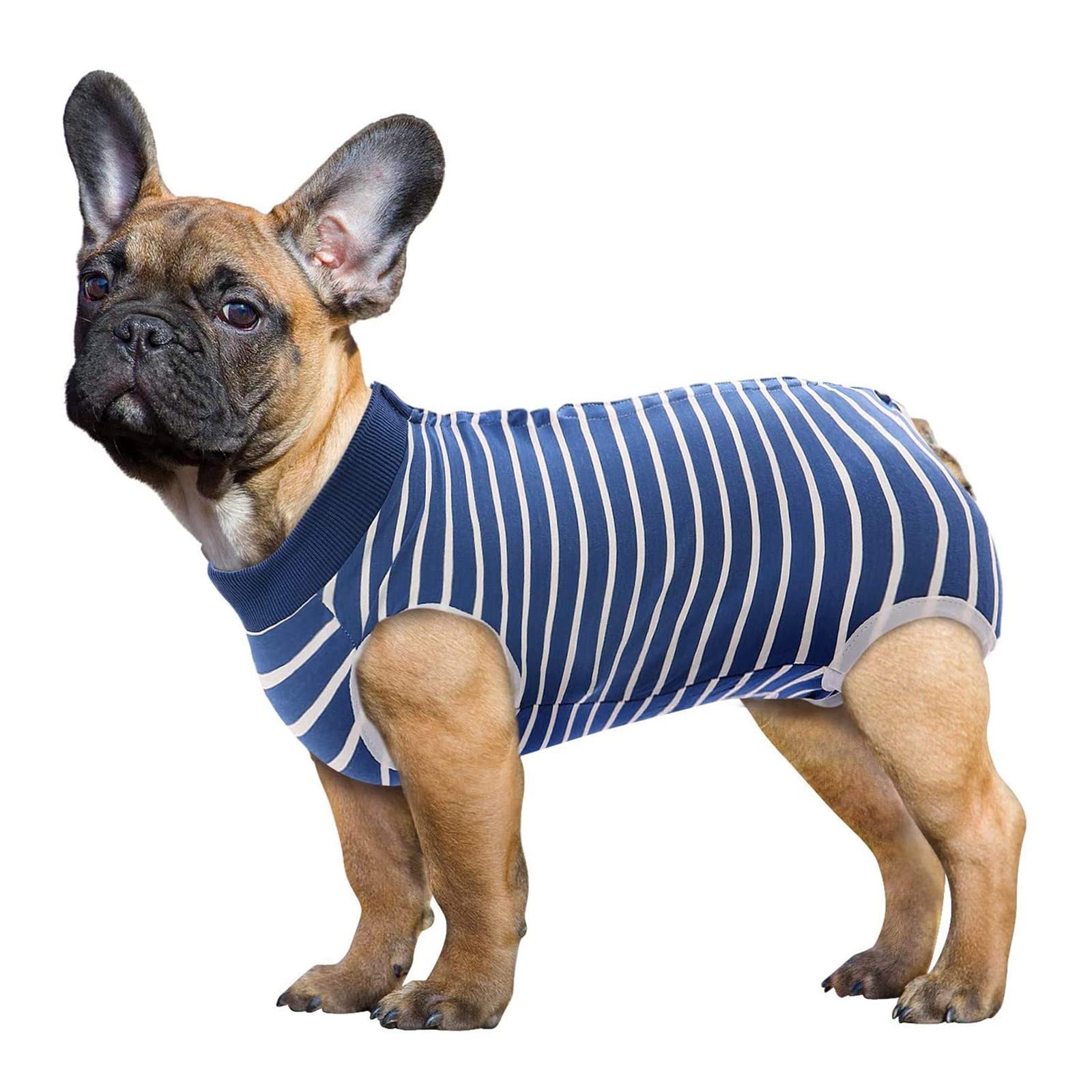SAWMONG mono de recuperación para perros azul XXL, perro usando, estilo cómodo para sesiones de recuperación.