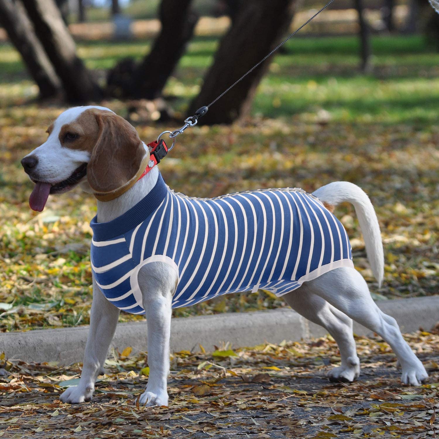 SAWMONG mono de recuperación para perros azul XXL, textura suave, ideal para uso diario y descanso.
