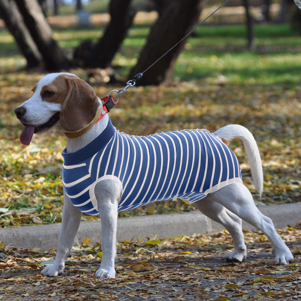 SAWMONG mono de recuperación para perros azul XXL, textura suave, ideal para uso diario y descanso.
