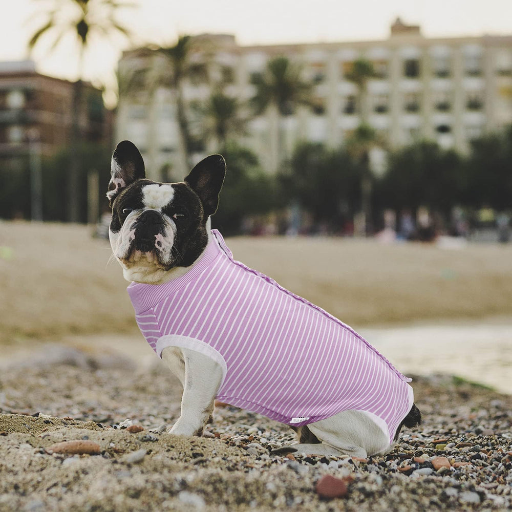 SAWMONG prenda de recuperación para perros, fácil de colocar y quitar.