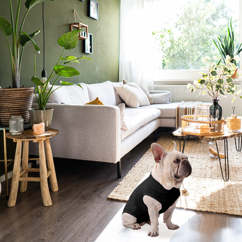 SAWMONG Recovery Suit protege muebles y reduce lamidos de forma discreta.