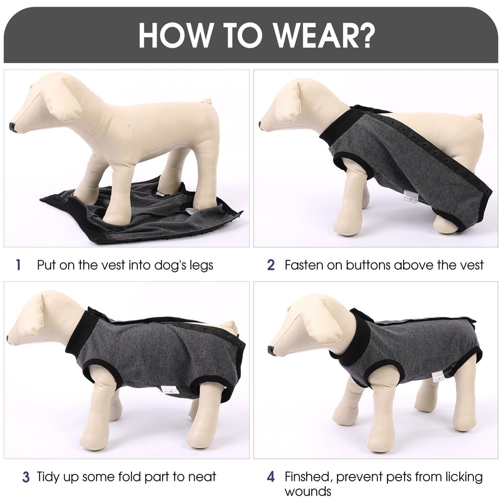 Tallas XS a XXX-Large disponibles para perros de todos los tamaños.