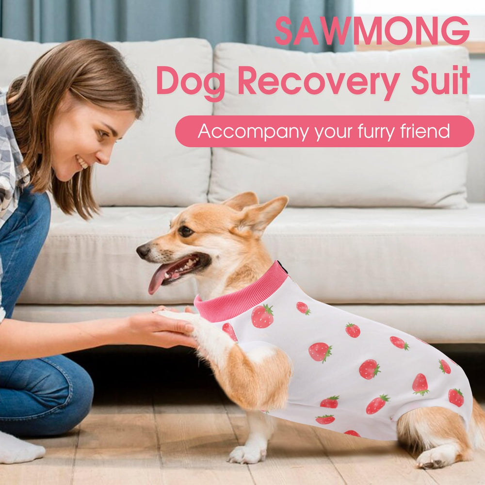 SAWMONG pijama canino evita lamidas en casa durante la recuperación.