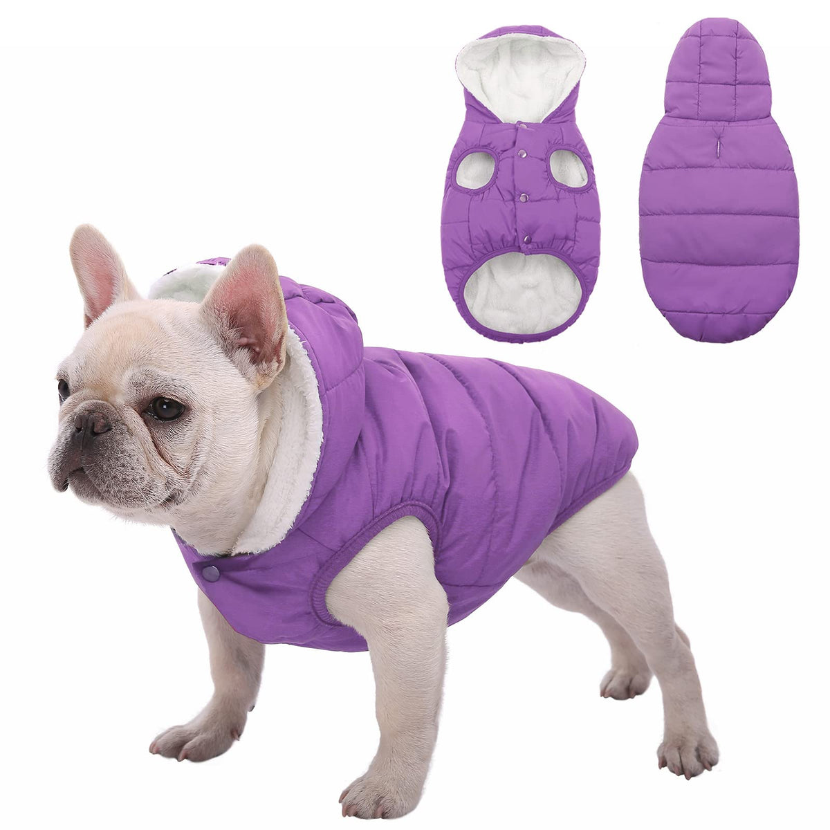 SAWMONG sudadera para perro morada, vista frontal, aporta calor y comodidad.