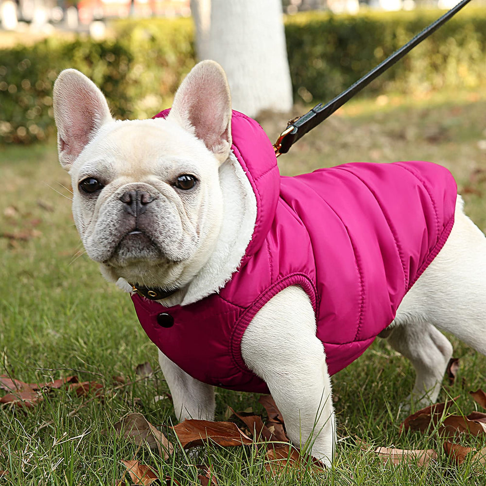 SAWMONG tallas disponibles desde S hasta XL para perros