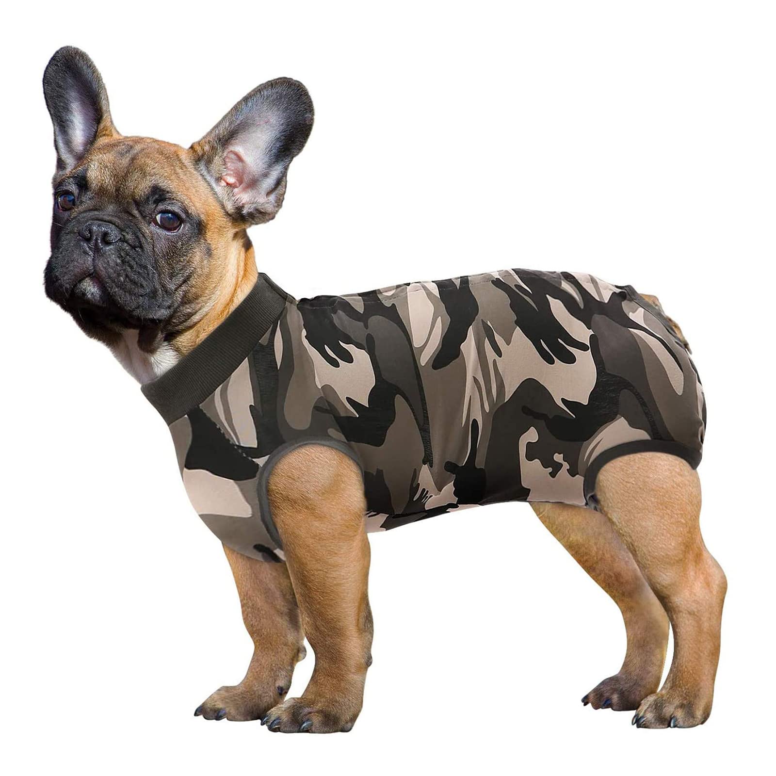 SAWMONG traje recuperación-perro-estilo-atractivo acompaña la recuperación con estilo.