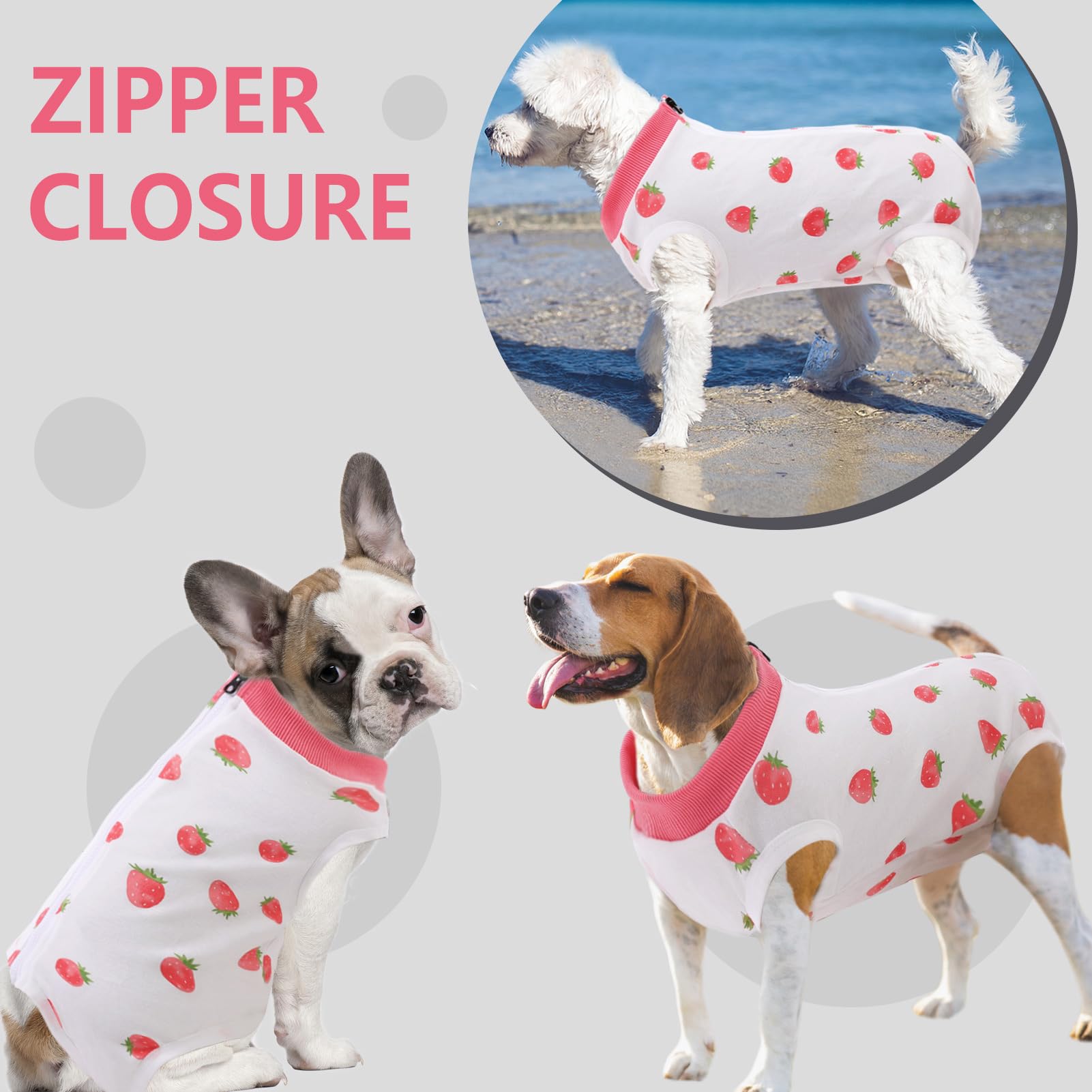 SAWMONG: talla XL disponible, ideal para perros grandes.