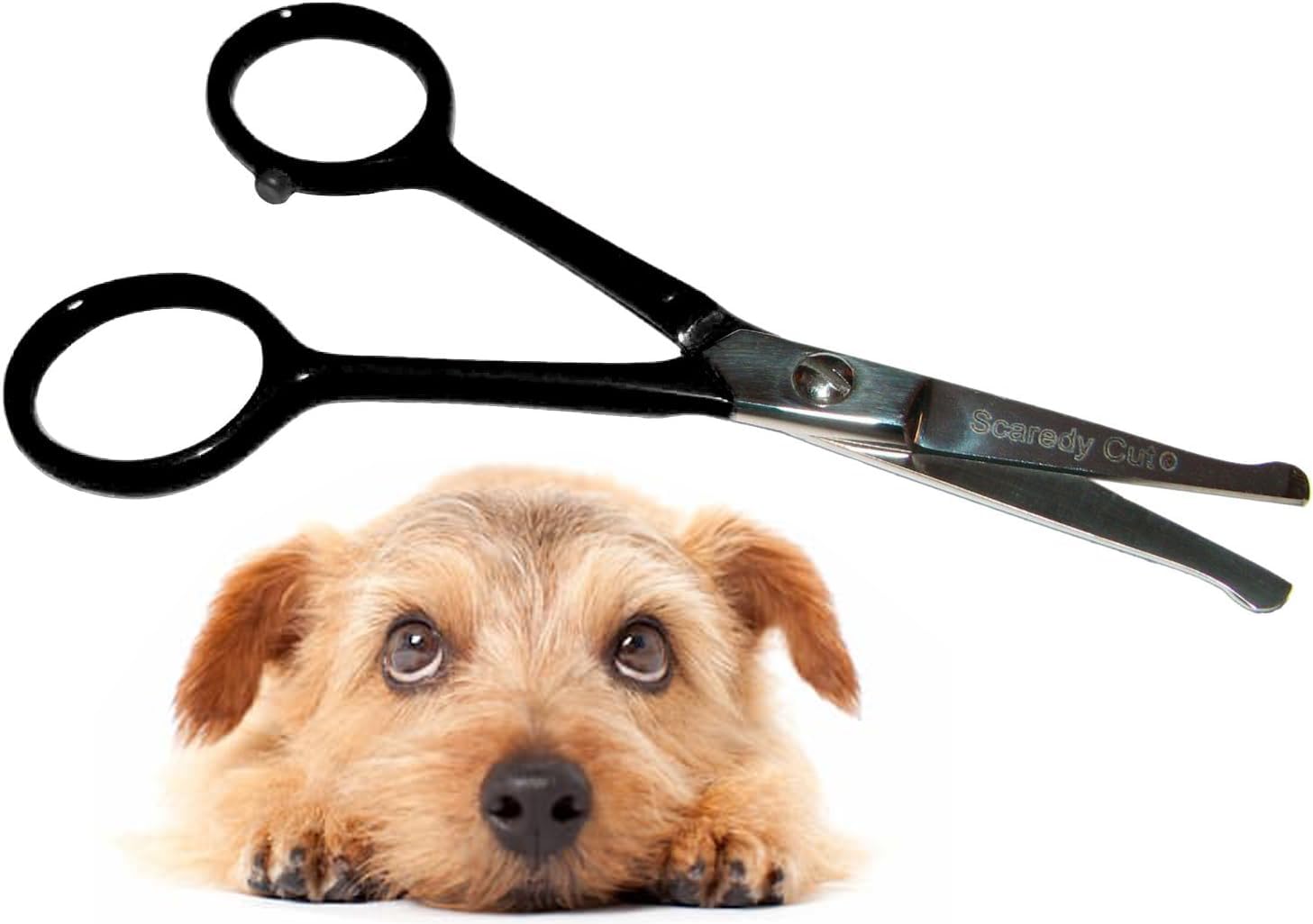 Scaredy Cut Tiny Trim con punta bola: tijera segura para orejas y patas.
