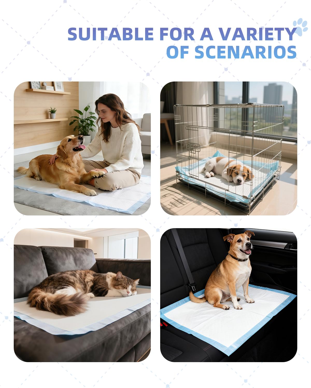 Uso múltiple: entrenamiento, cuidado de mascotas mayores y viajes