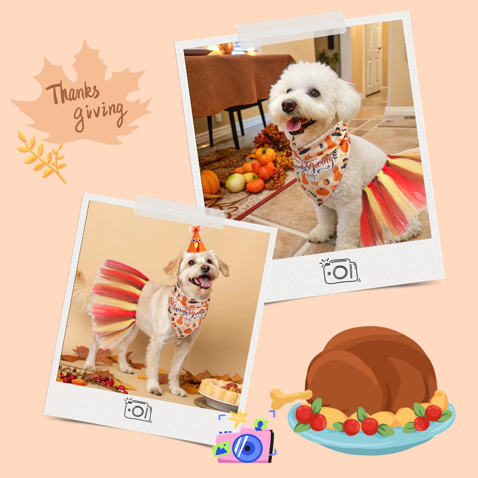 SCENEREAL accesorios a juego para perro, conjunto completo para fotos y celebraciones