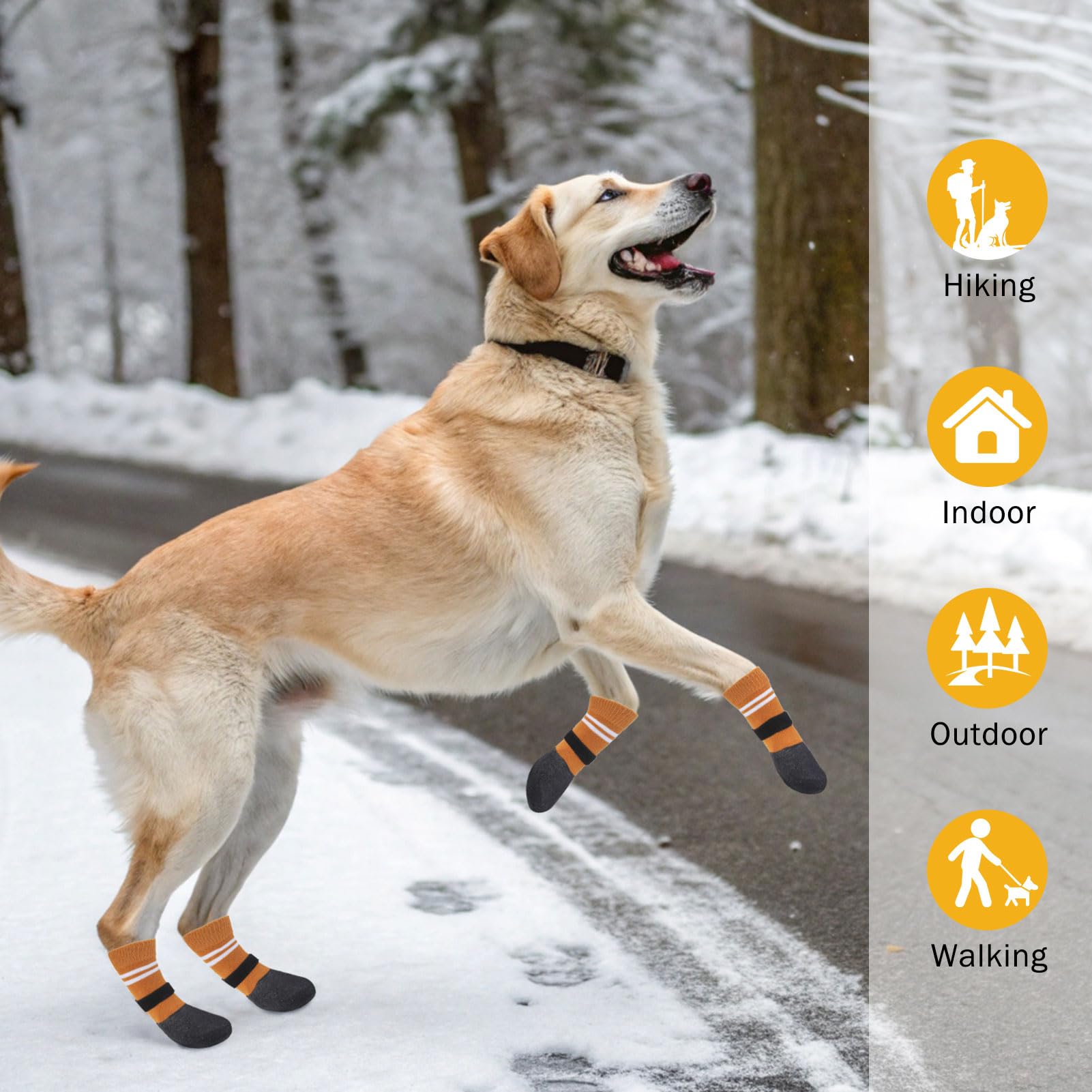SCENEREAL accesorios impermeables de invierno, comodidad y calor para perros seniors.