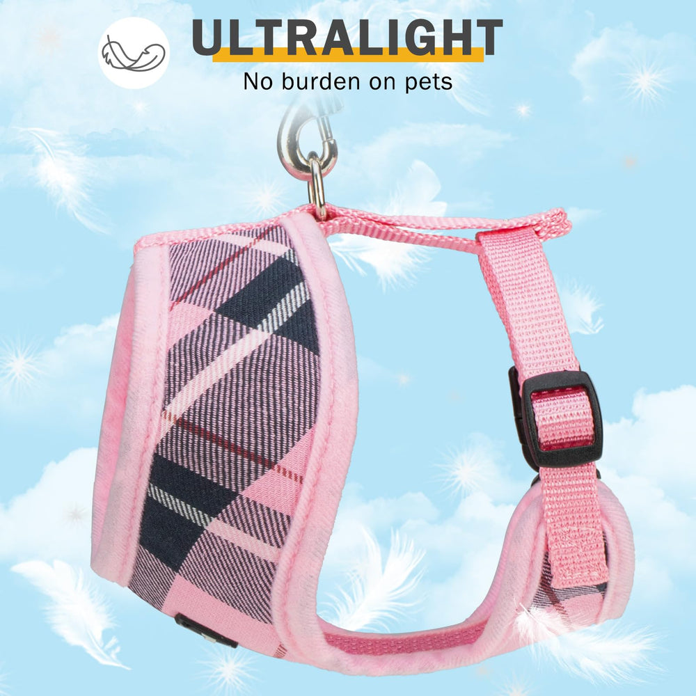 SCENEREAL anilla en D de metal para seguridad