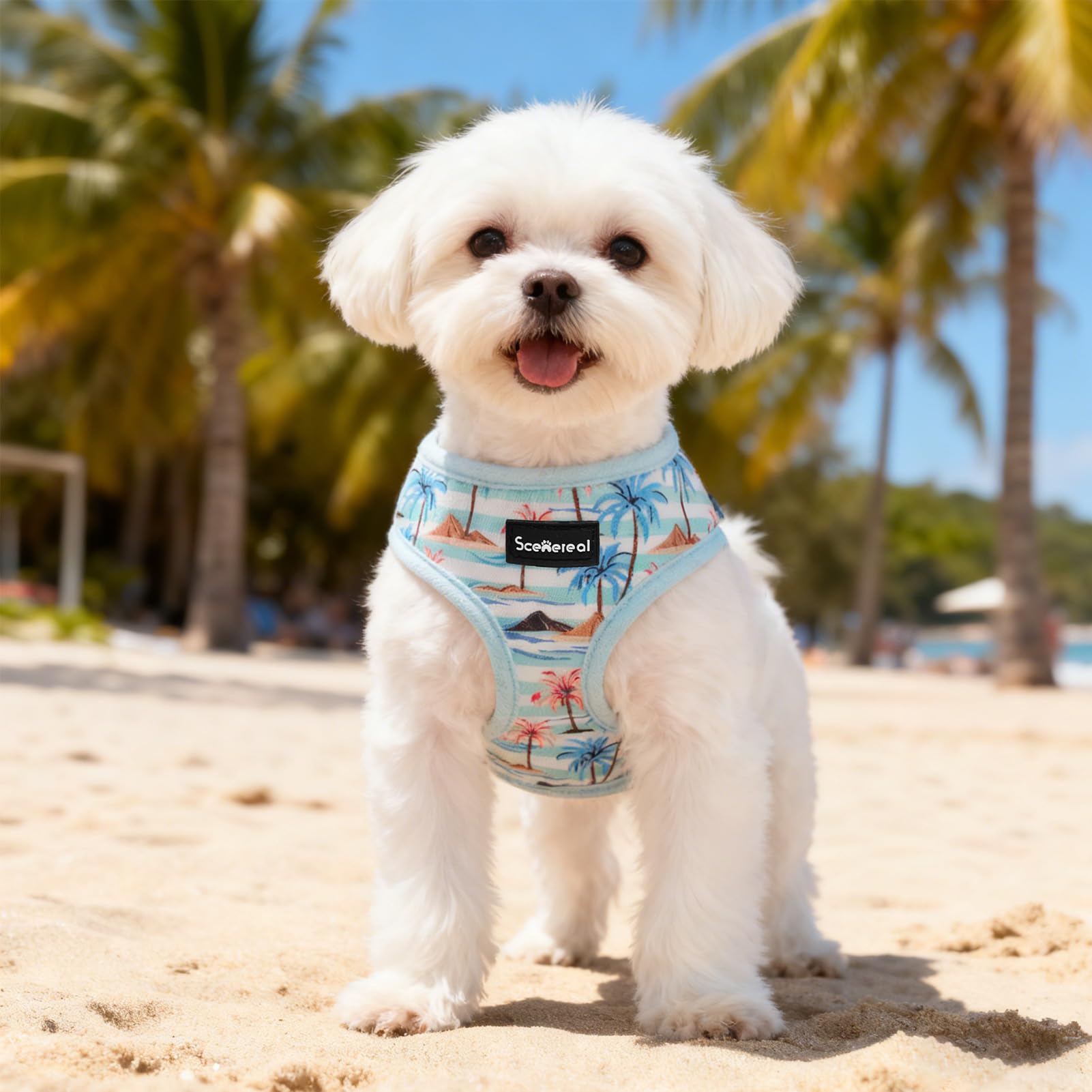 SCENEREAL arnés-perro-pequeno-eventos: ideal para fotos y reuniones