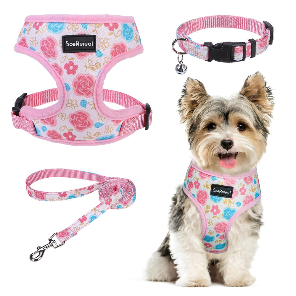 SCENEREAL arnés para perro pequeño de malla transpirable, cómodo para paseos diarios.