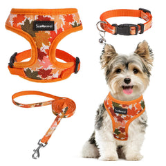 SCENEREAL arnés XS naranja con hoja otoñal para paseos cómodos.