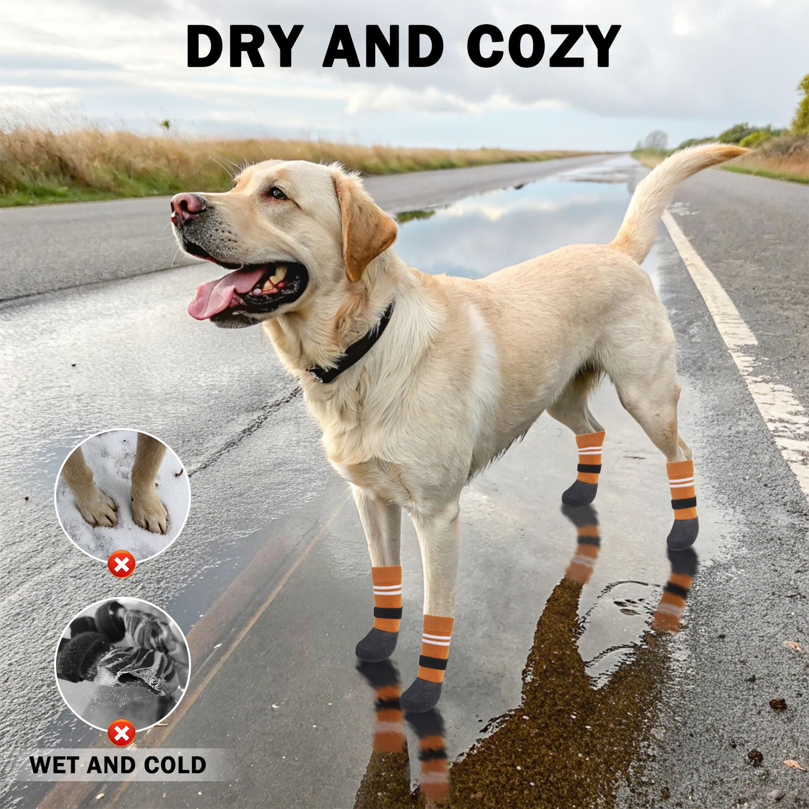 SCENEREAL botas de invierno para perros grandes, protegen contra resbalones en madera.