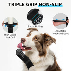 SCENEREAL protección de patas para perros en interiores