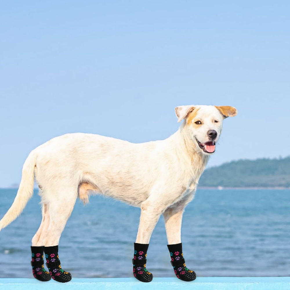 SCENEREAL calcetines para uso diario, protección discreta en casa