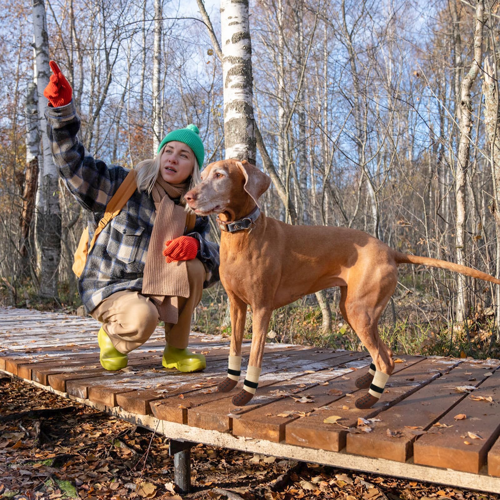 SCENEREAL calcetines antideslizantes para perros brindan tracción segura.