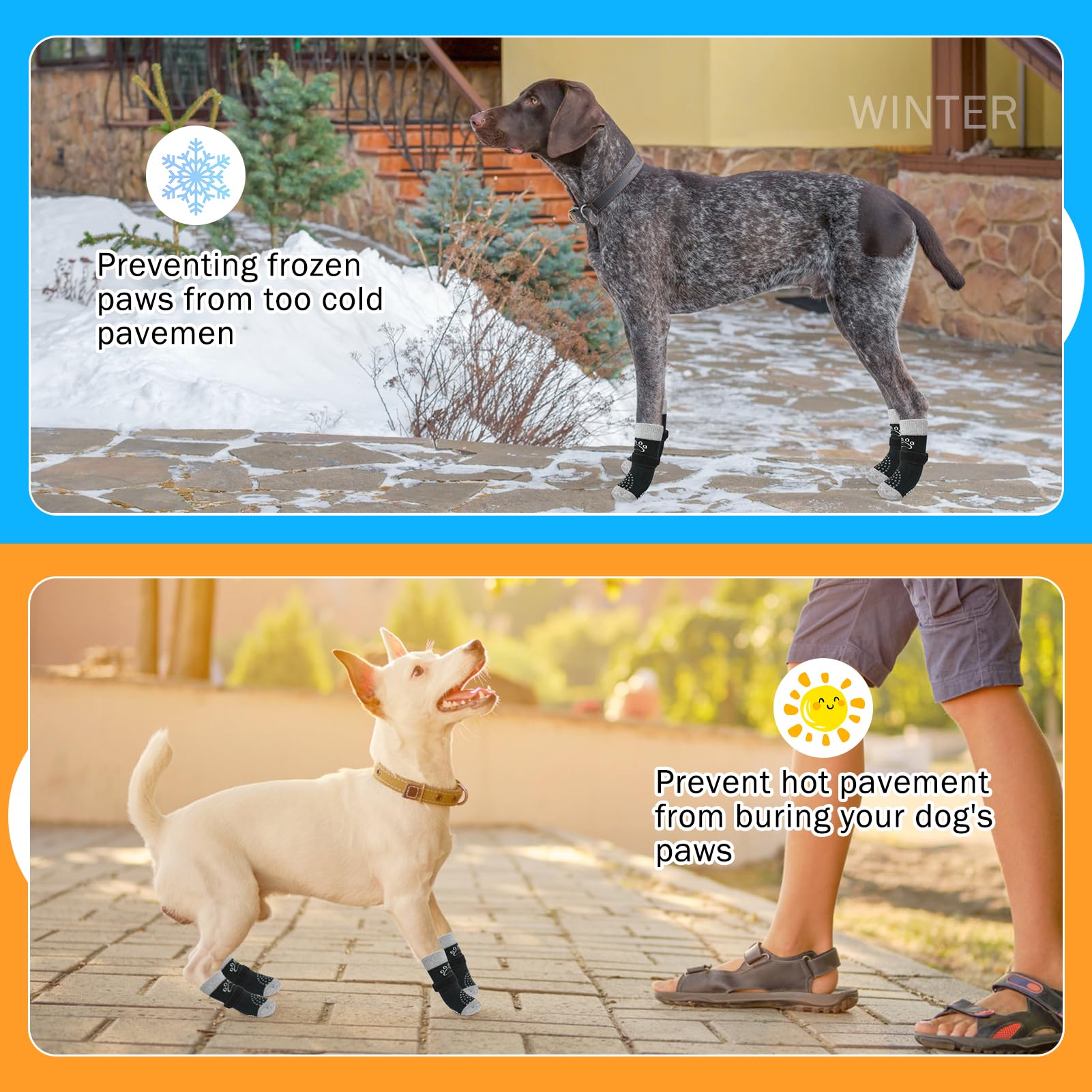 SCENEREAL calcetines para hogares y paseos, protegen patas