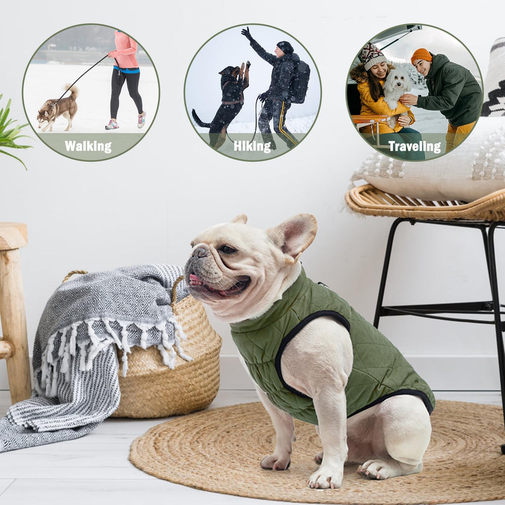 SCENEREAL chaleco perro invierno ajuste elastico pecho se adapta al cuerpo del perro