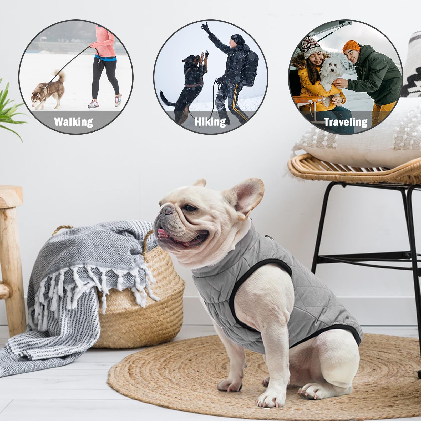 SCENEREAL chaleco perro invierno – ajuste pecho elástico: comodidad y ajuste seguro.