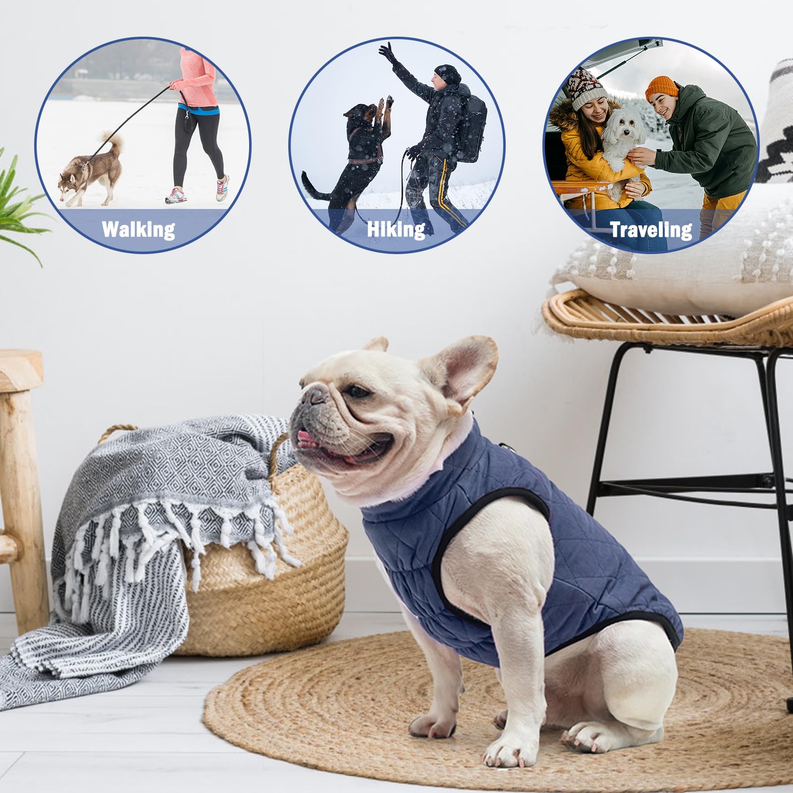 SCENEREAL chaleco apertura ventral para facilitar el orinar del perro
