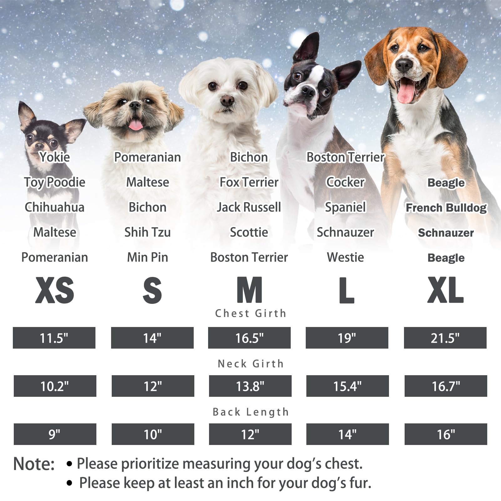 SCENEREAL chaleco-perro-invierno arnés integrado para paseos sin complicaciones.