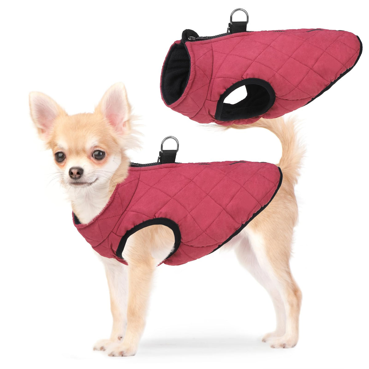 SCENEREAL chaleco para perro invierno con cierre trasero, cómodo para paseos diarios.