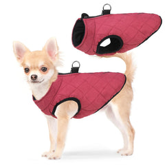 SCENEREAL chaleco para perro invierno con cierre trasero, cómodo para paseos diarios.