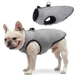 SCENEREAL chaleco para perros con arnés integrado en la espalda, perfil visual y uso práctico.