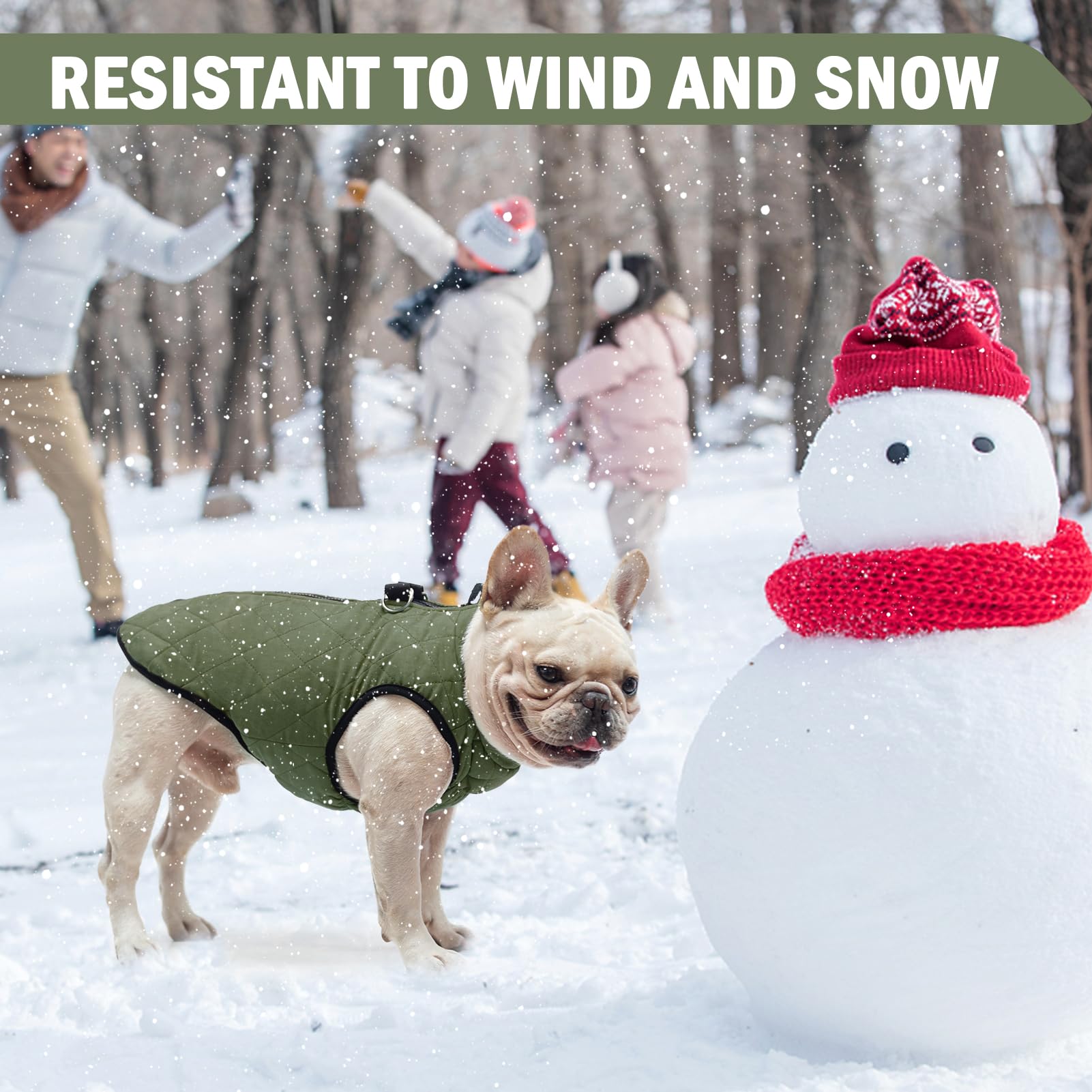 SCENEREAL chaleco perro invierno diseño cuello alto protege del viento