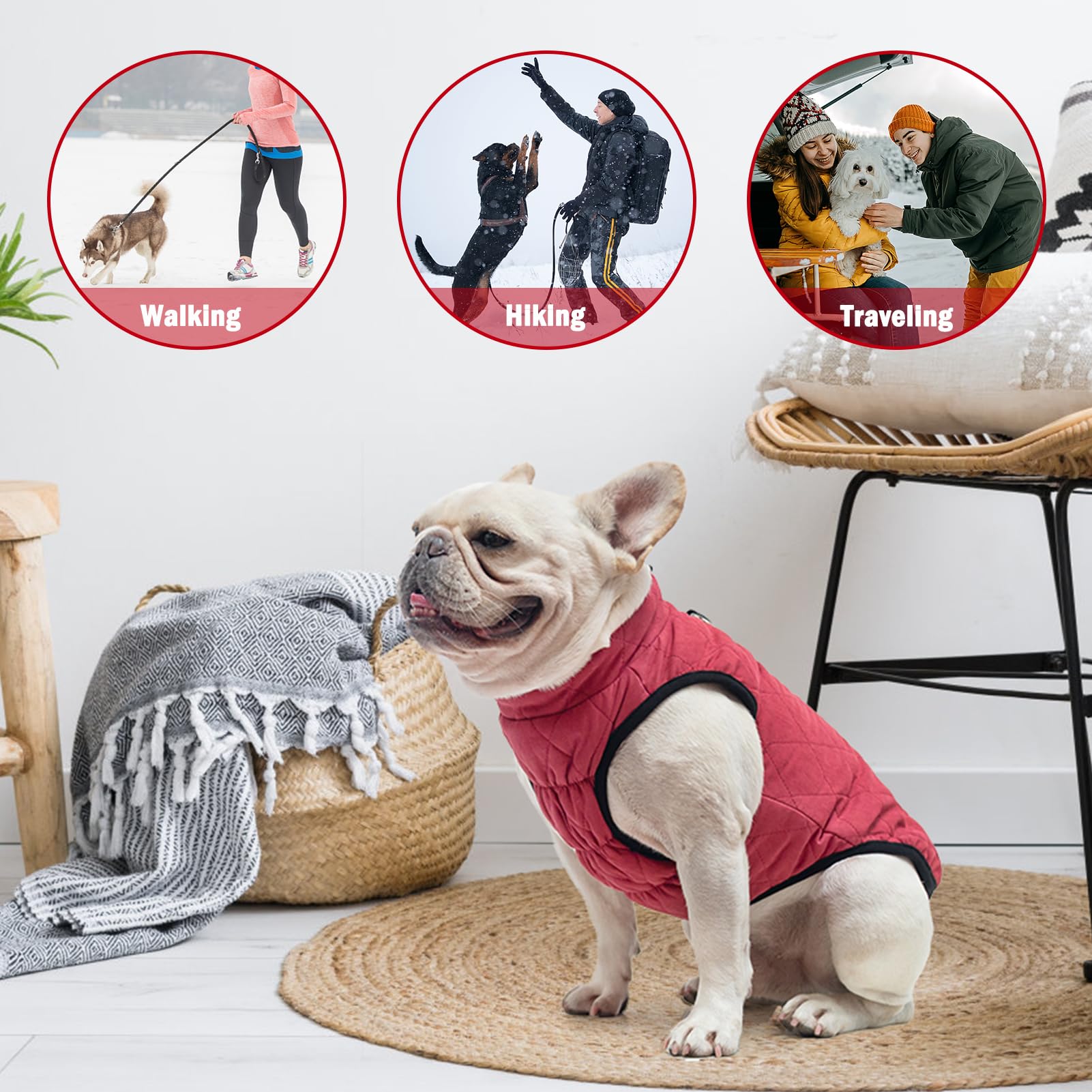 SCENEREAL chaleco-perro-invierno diseño ergonómico cómodo y fácil de ajustar.