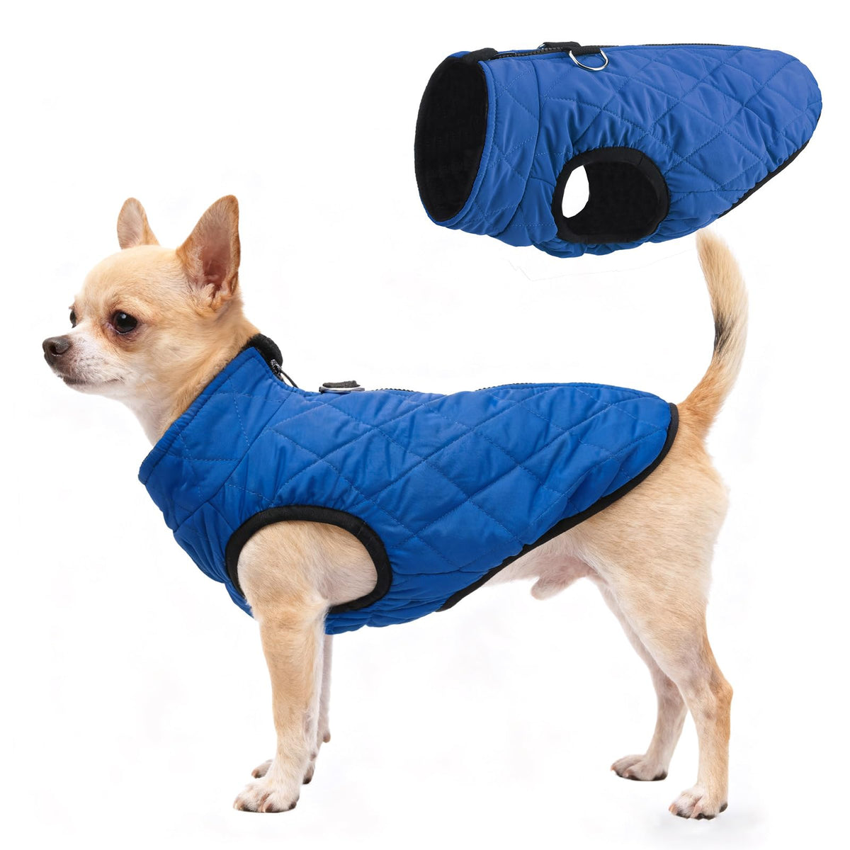 SCENEREAL chaleco perro invierno vista frontal con cremallera práctica para vestir