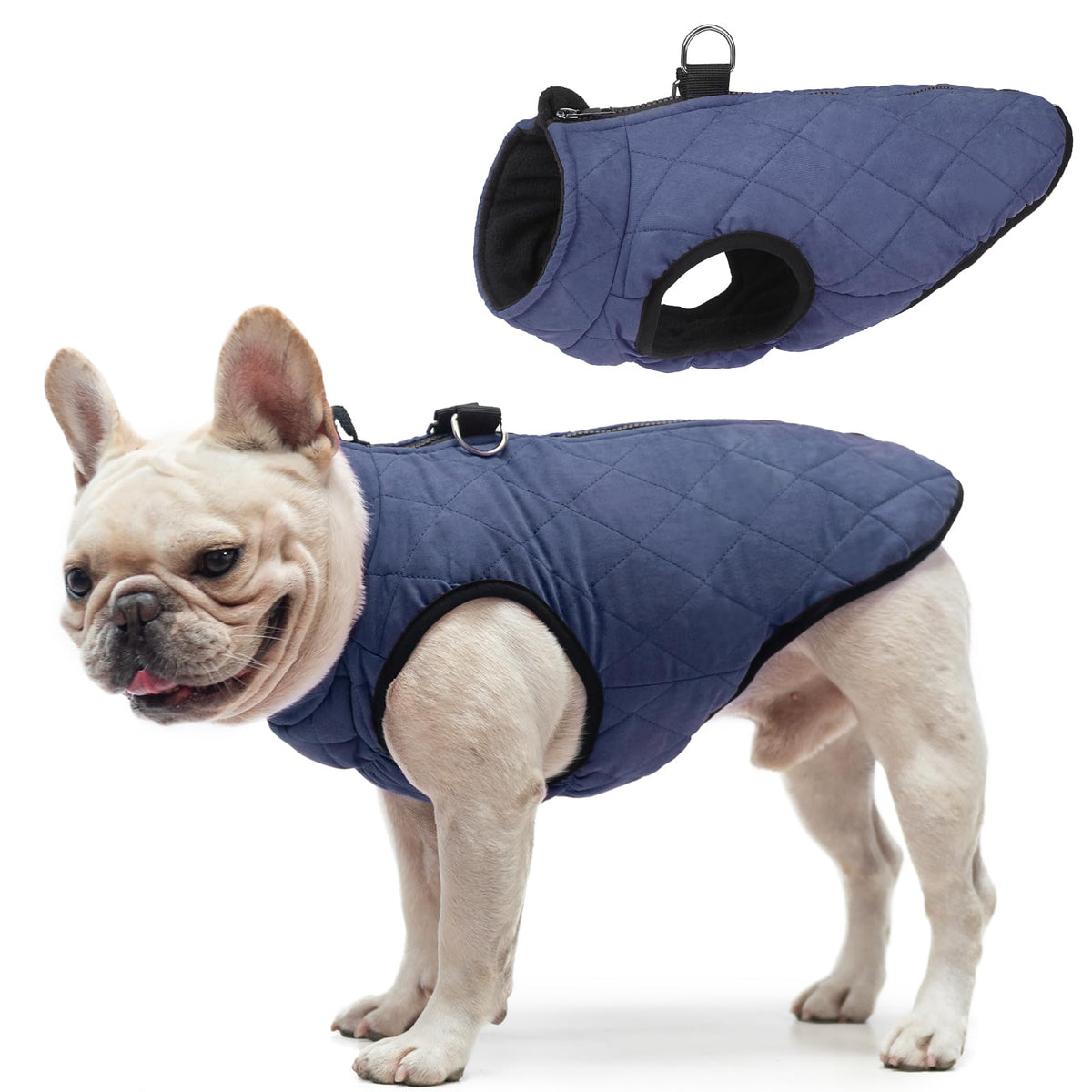 SCENEREAL chaleco para perro con vista frontal y ajuste cómodo para paseos fríos