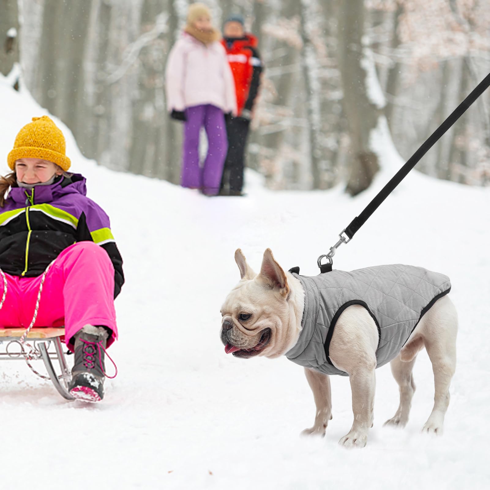 SCENEREAL chaleco perro invierno – uso al aire libre: protege del frío con diseño ligero.
