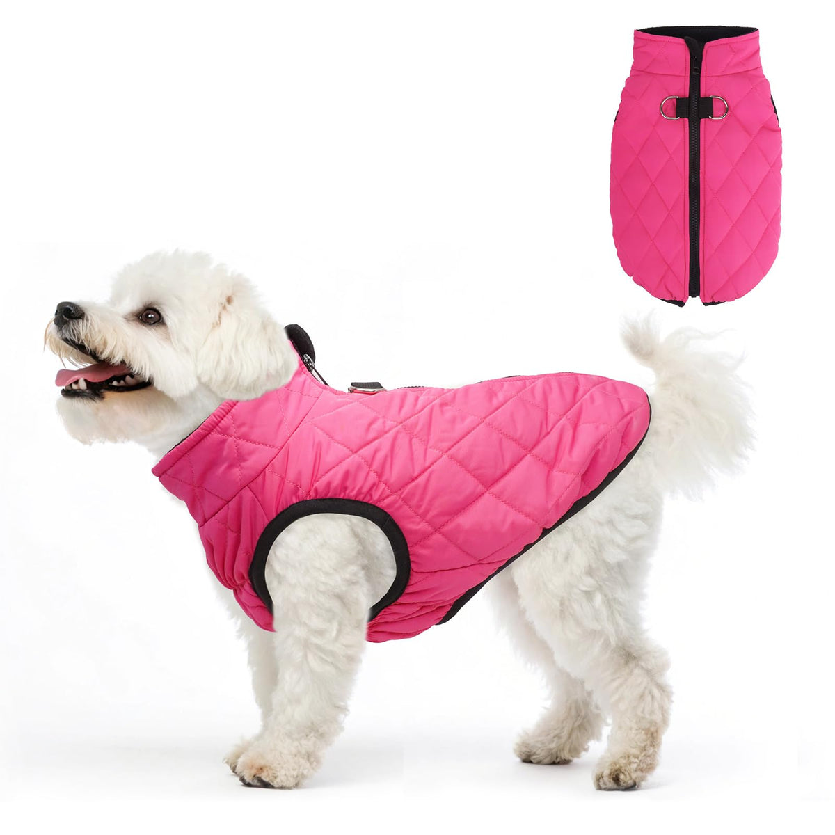 Chaqueta de invierno SCENEREAL para perros, vista frontal, ajuste cómodo para paseos fríos.