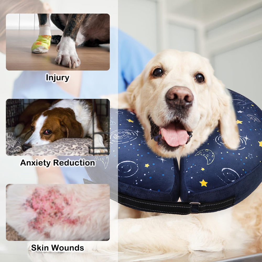 SCENEREAL Collar con diseño colorido para perros felices durante la recuperación.