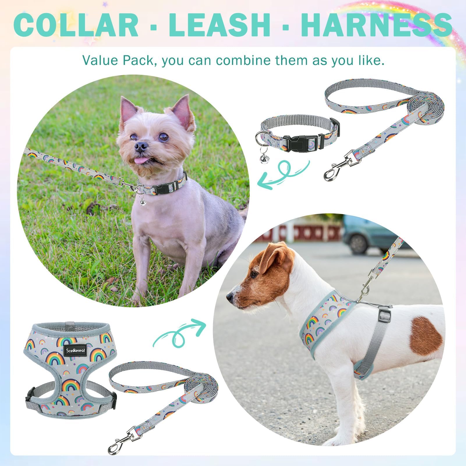 SCENEREAL collar con diseño estilizado para perros pequeños y elegantes.