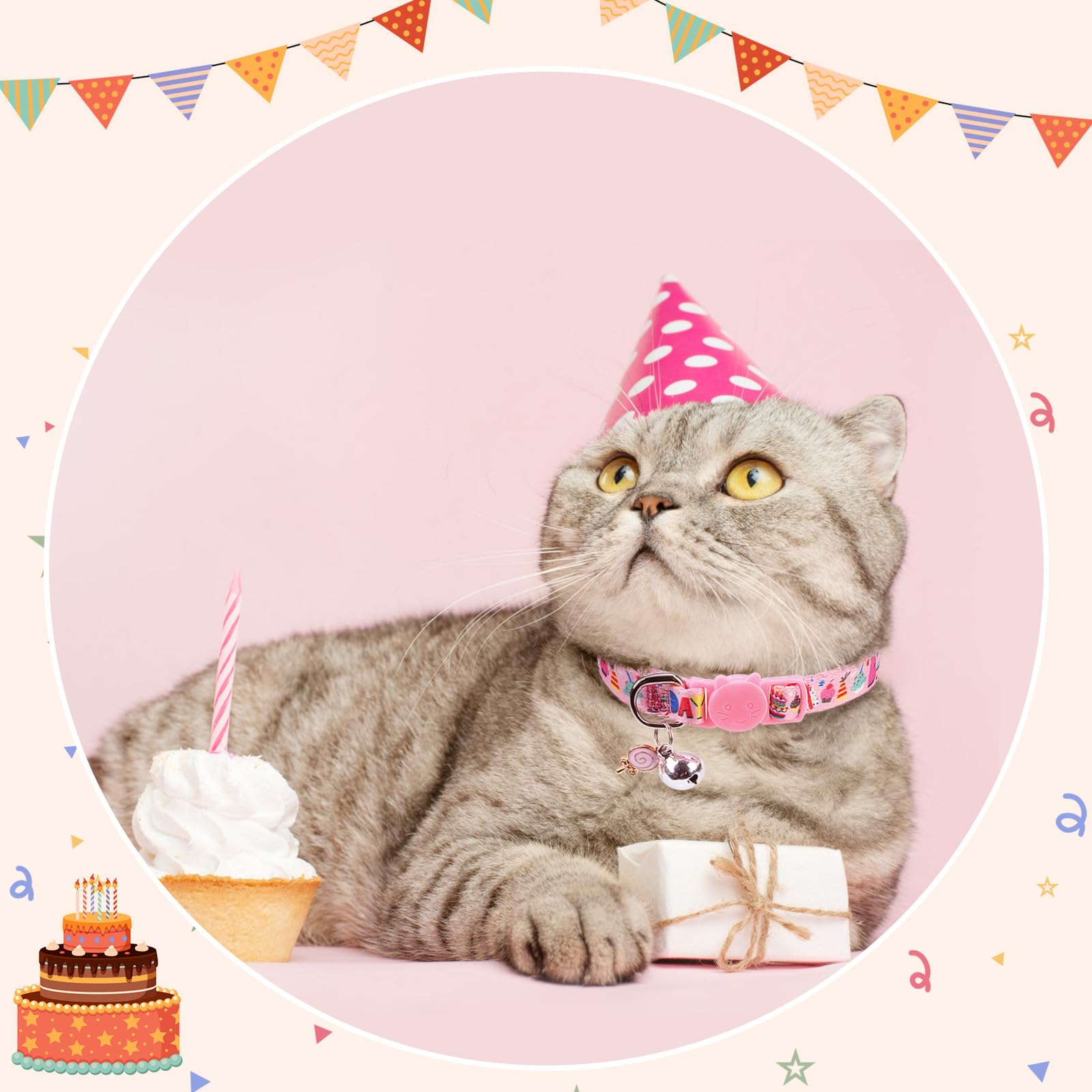 SCENEREAL collar gato aniversarios y celebraciones
