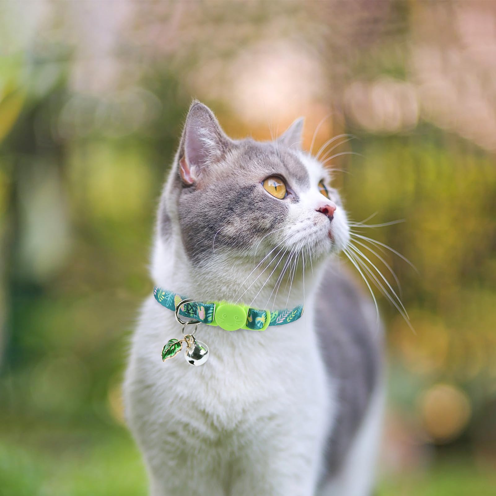 SCENEREAL collar gato pendiente personalizado opción de personalización para regalo.