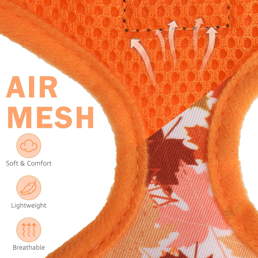 SCENEREAL collar XS naranja con aro reforzado para paseos diarios.