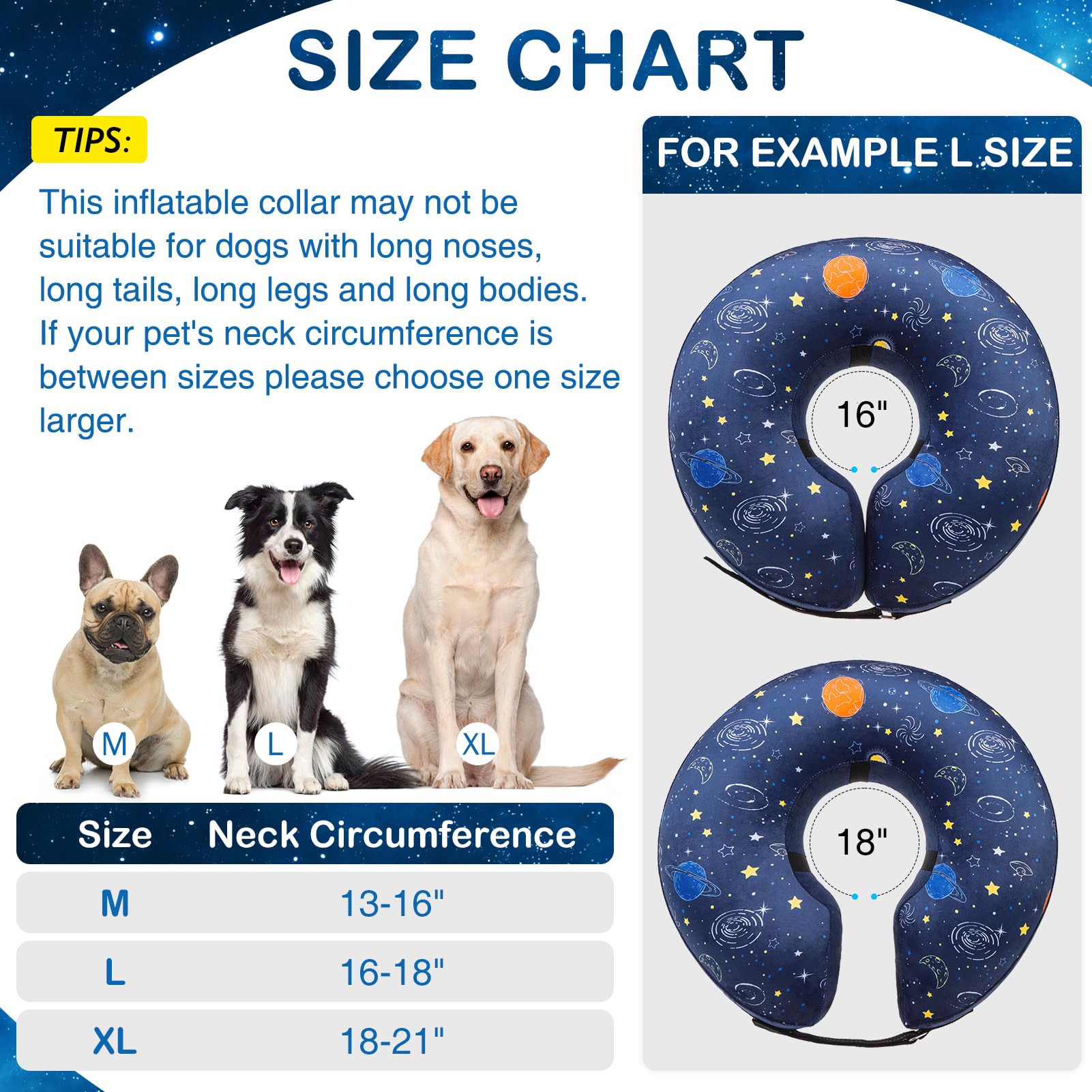SCENEREAL Collar de recuperación para perro, protección 360 contra lamidos.