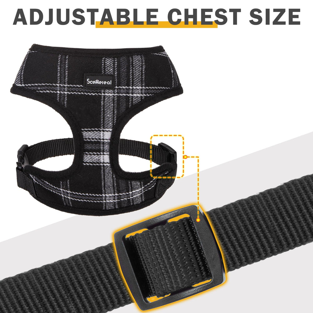 SCENEREAL conjunto cuadros 3 piezas: conjunto elegante para eventos y sesiones de fotos