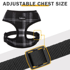 SCENEREAL conjunto cuadros 3 piezas: conjunto elegante para eventos y sesiones de fotos