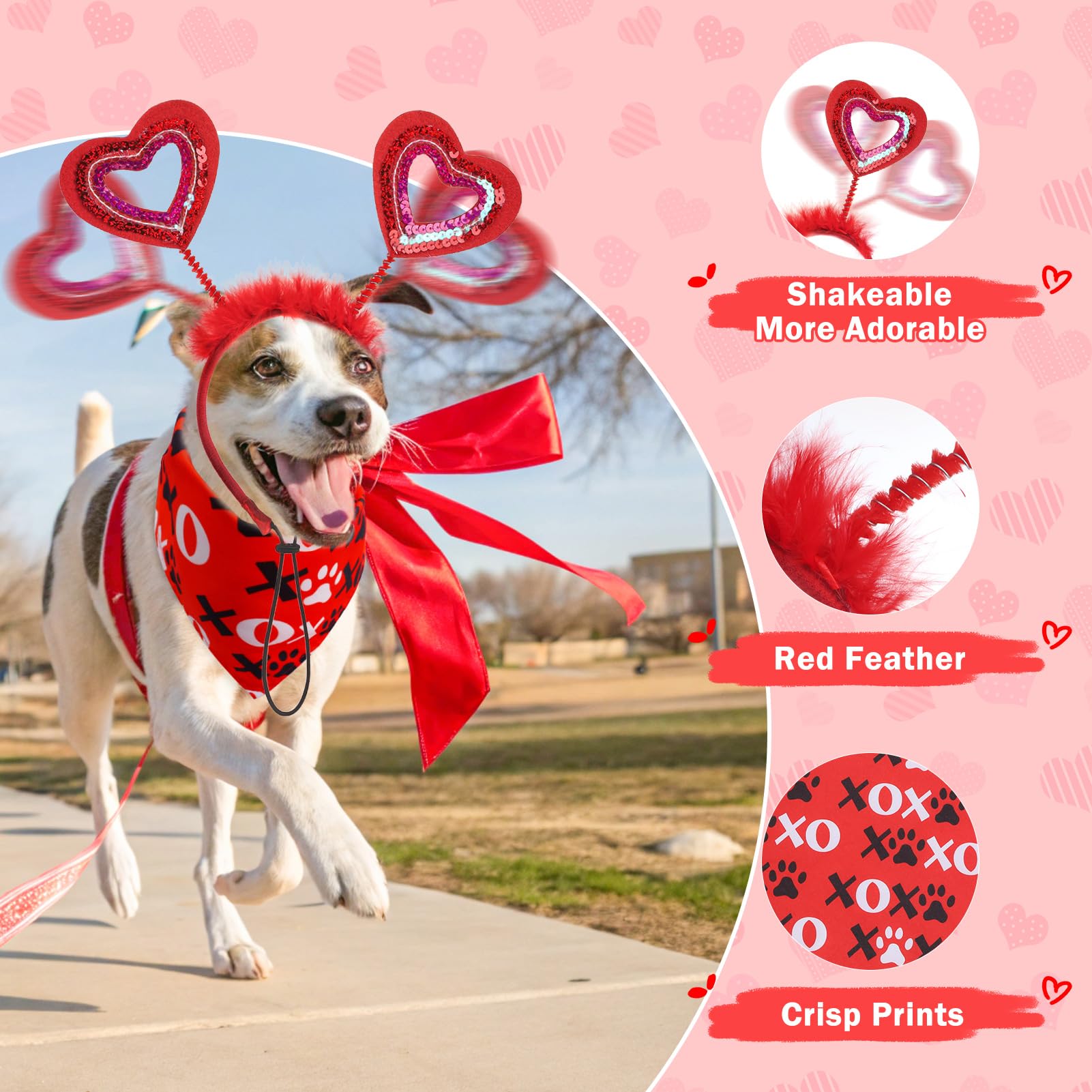 SCENEREAL conjunto para perro Valentín tres piezas, listo para usar en eventos.