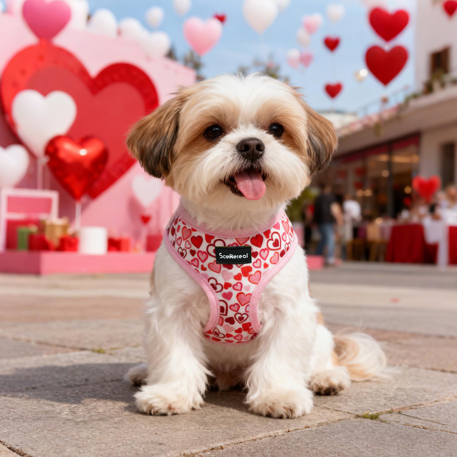 SCENEREAL conjunto de San Valentín para perro pequeño, perfecto para fotos.